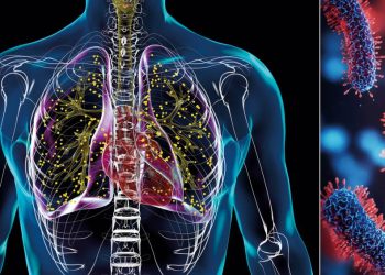 velha-inimiga:-por-que-a-tuberculose-ainda-nao-e-uma-doenca-do-passado