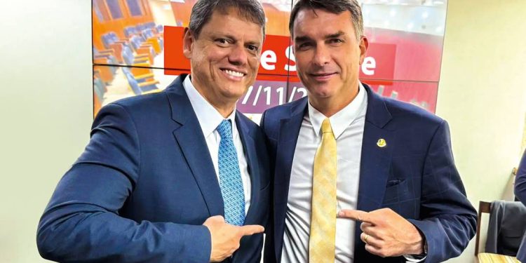 a-conversa-de-flavio-e-tarcisio-que-pode-definir-o-vice-do-governador-em-sp