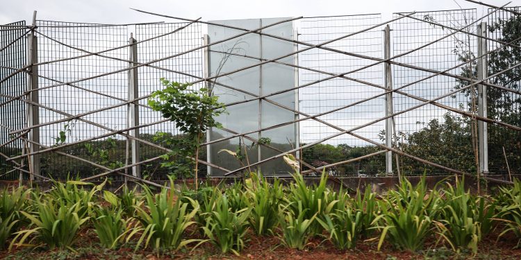 muro-da-usp-vira-esqueleto-de-bambu-quase-dez-anos-apos-fracasso-da-vidraca-instalada-por-doria