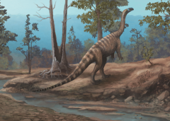 dinossauro-que-viveu-ha-210-milhoes-de-anos-e-descoberto-no-zimbabue