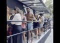 teatro-glaucio-gill:-voce-acredita-no-tamanho-dessa-fila?-(video)