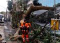 rede-eletrica-mais-resiliente-requer-investimento-de-concessionarias