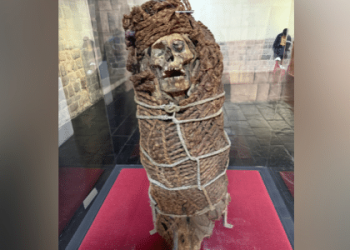 dna-da-variola-e-recuperado-de-mumias-da-epoca-da-conquista-espanhola