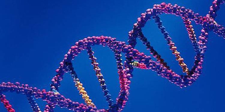 1986:-um-ano-que-mudou-a-historia-da-genetica