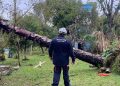 sul,-sudeste-e-centro-oeste-tem-alerta-para-tempestades-e-vendavais