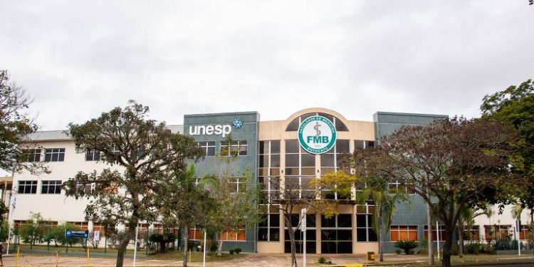 Unesp abre inscrições para vestibular 2027 com mais vagas em medicina; veja regras