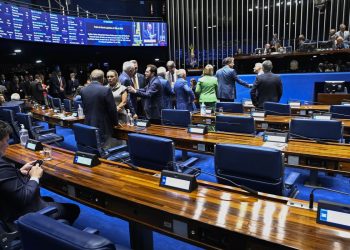 saiba-como-funciona-eleicao-para-o-senado-e-qual-o-papel-dos-senadores
