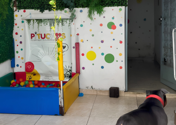 Donos de creche pet em Botafogo são indiciados por maus-tratos