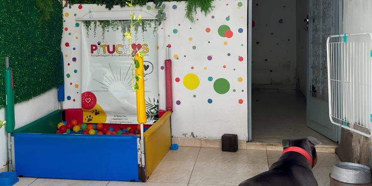 Donos de creche pet em Botafogo são indiciados por maus-tratos