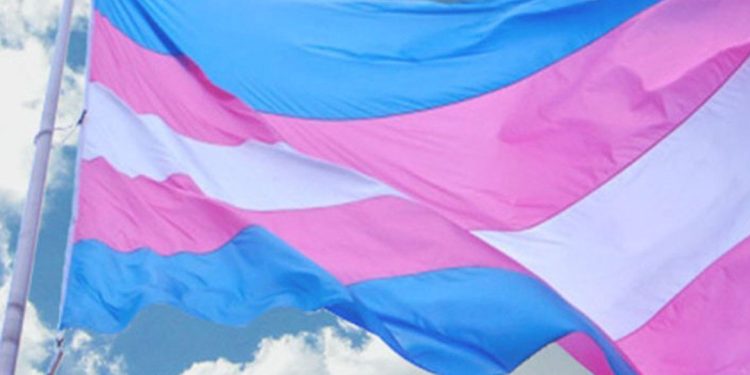 Salvador recebe a 7ª Marcha Trans da Bahia