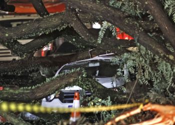 Chuvas fortes levam Defesa Civil a emitir mais de 50 alertas em SP