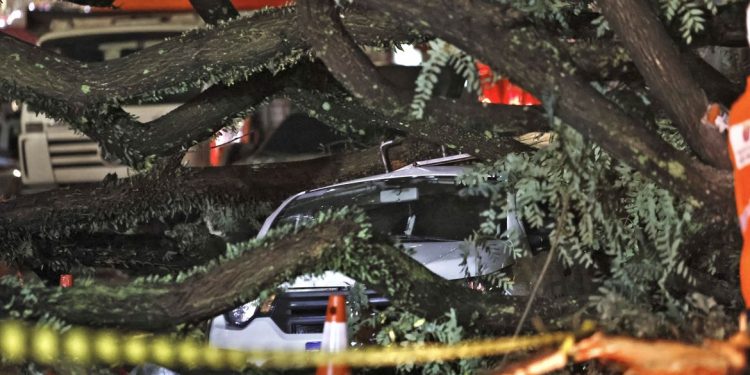 Chuvas fortes levam Defesa Civil a emitir mais de 50 alertas em SP
